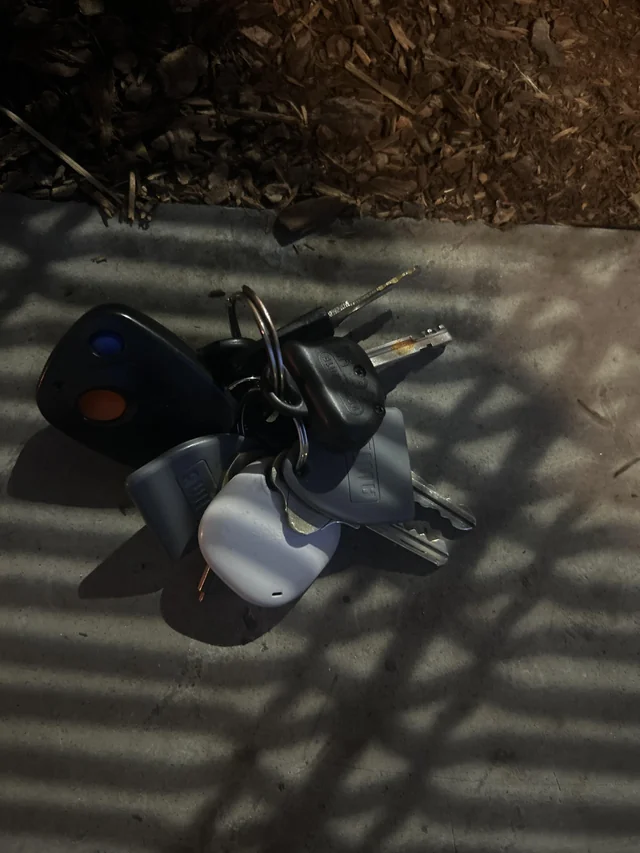 Found keys