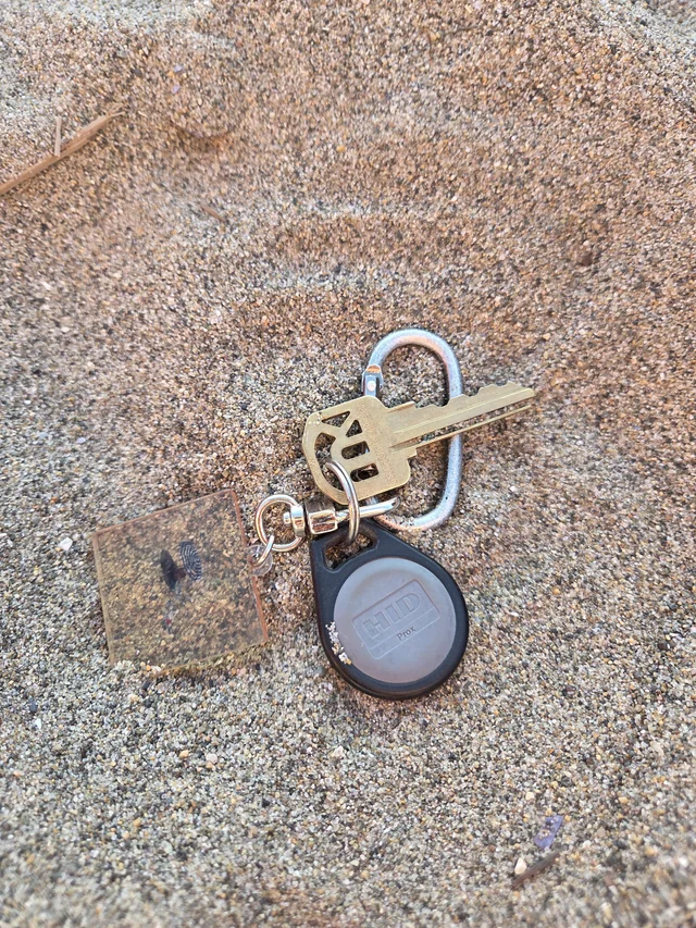 Found keys