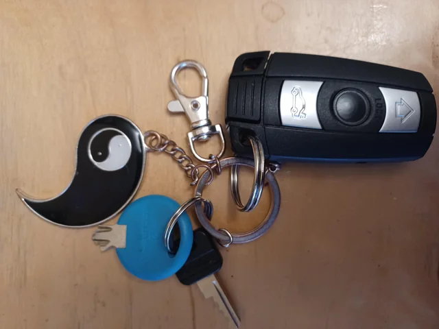 Found keys