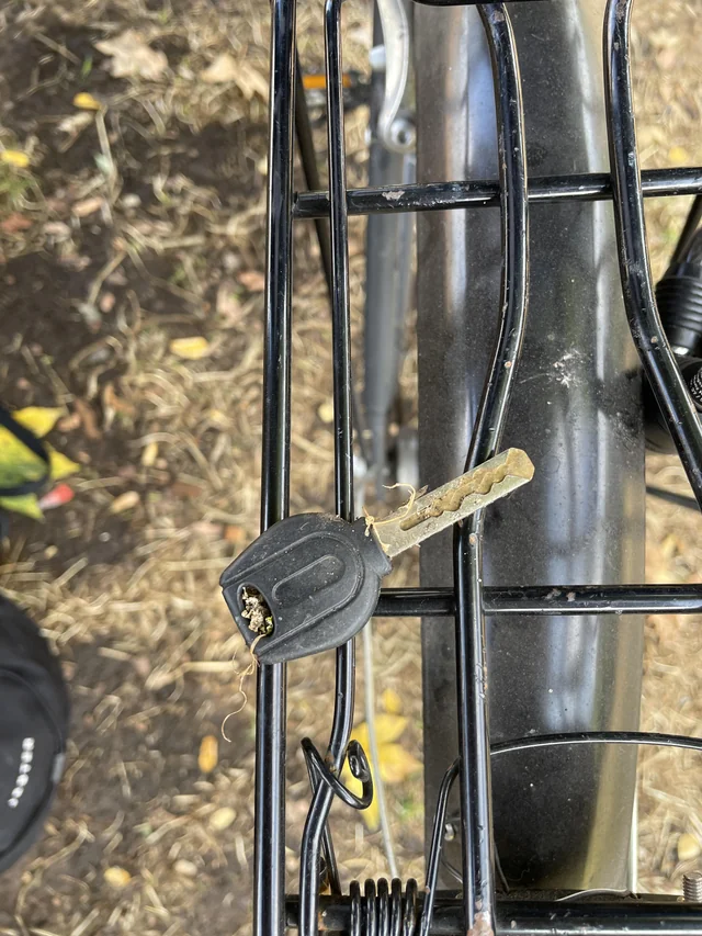 Found Keys in Cologne