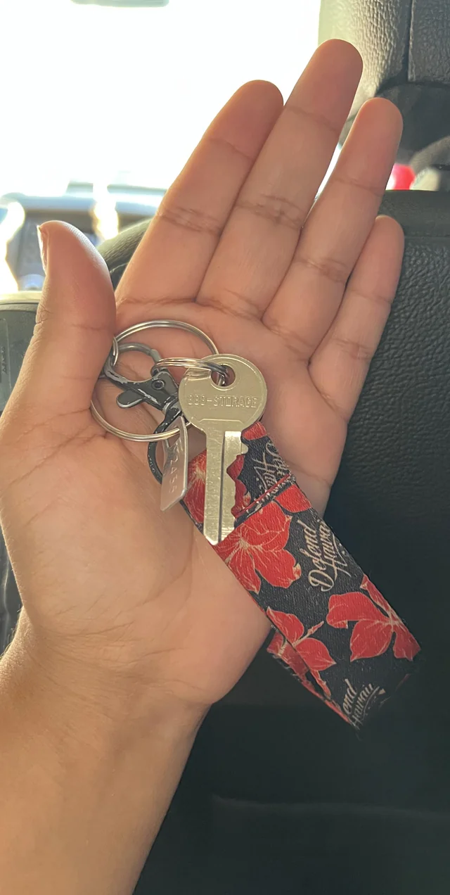Found keys