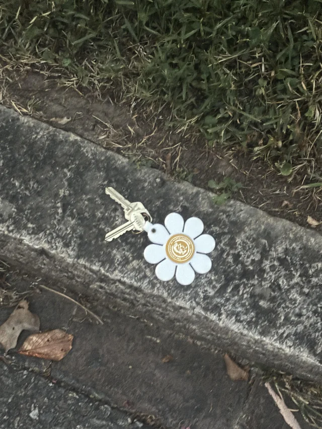 Found Keys in Greensboro