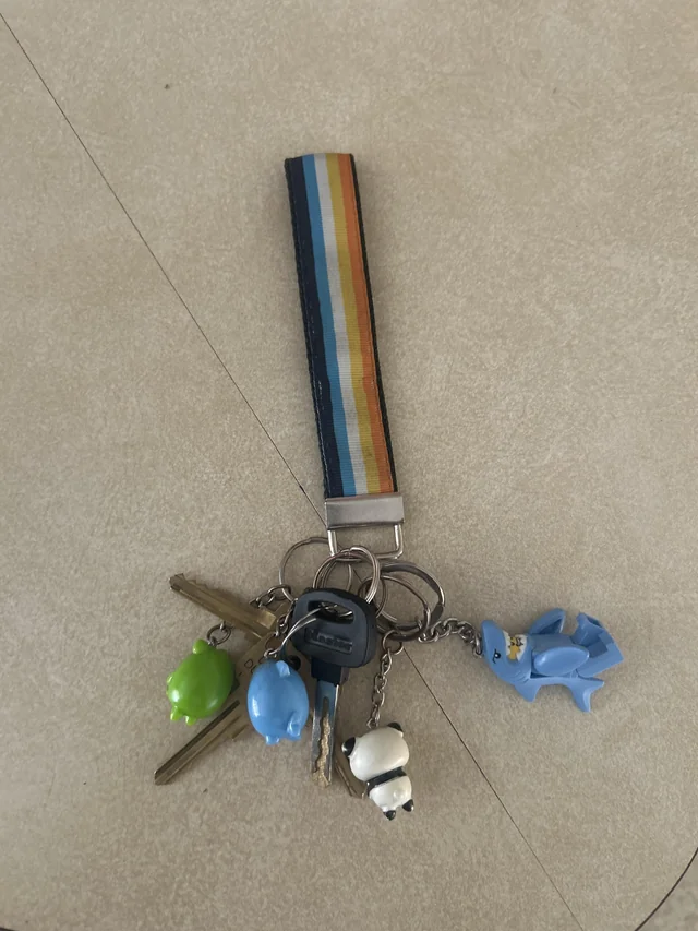 Found Keys in Tempe
