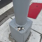 Found keys
