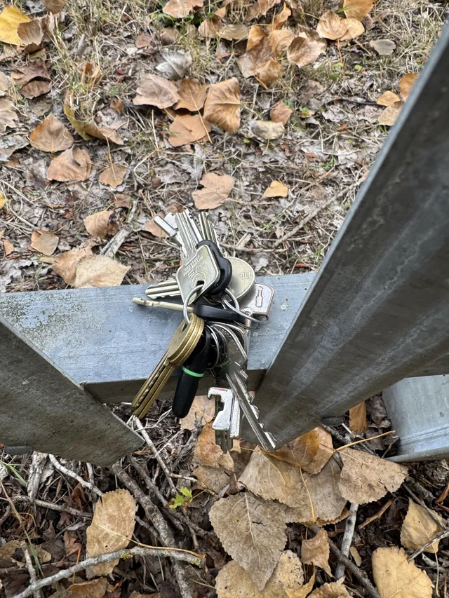 Found keys