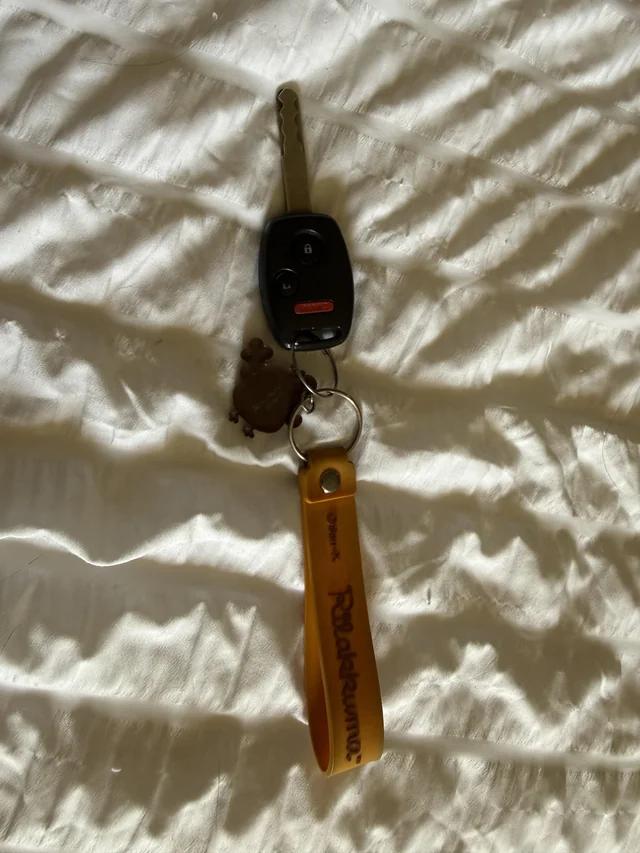 Found keys