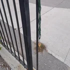 Found keys