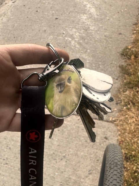 Found Keys in Ottawa