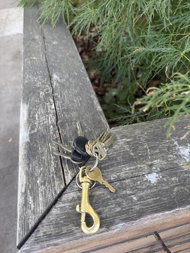 Found keys