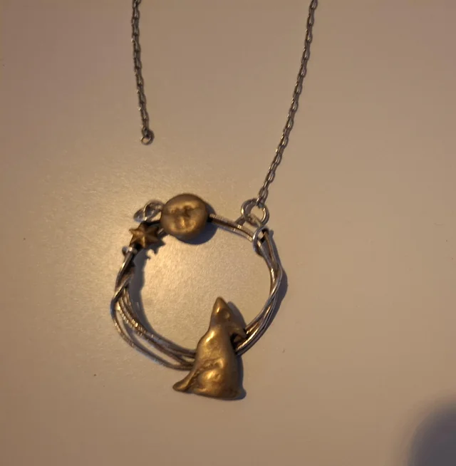 Found necklace