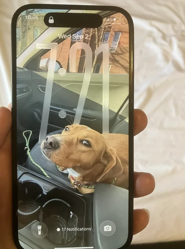 Found phone