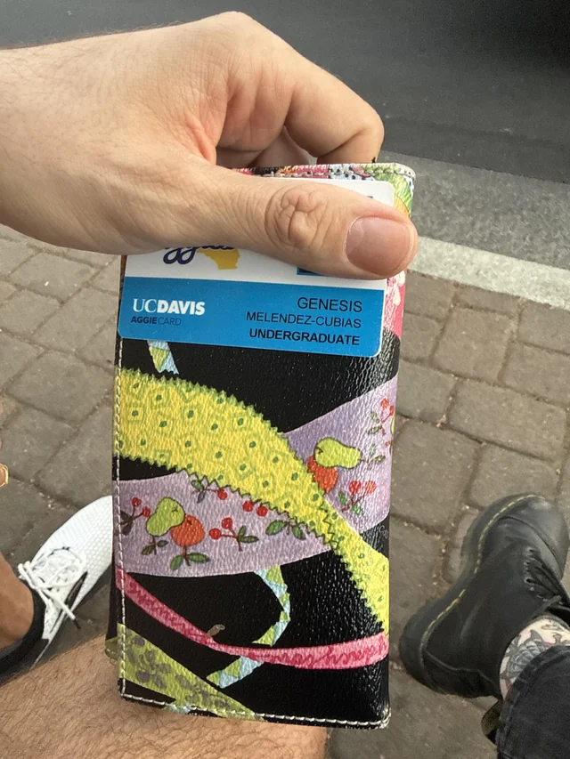 Found Wallet in Davis