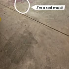 Found Watch in Adelaide
