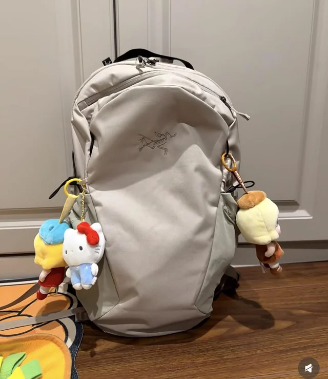 Lost Bag in West Lafayette