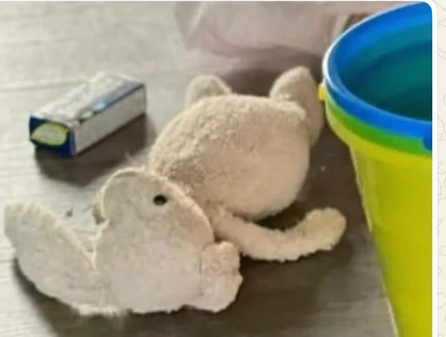 Lost Toy in Honolulu