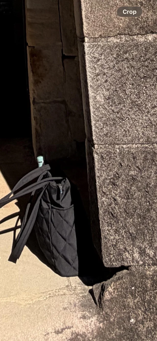 Lost Bag in Penrith