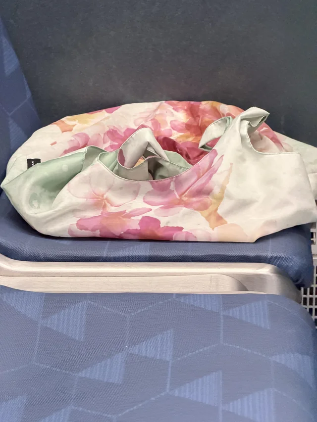 Found Bag in Bellevue