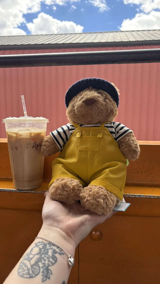 Lost Plush Toy in Durango