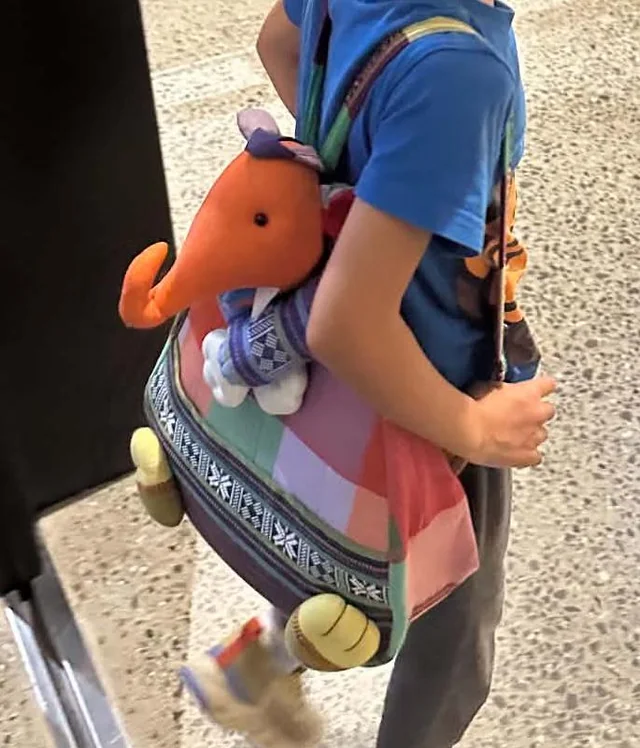 Lost bag