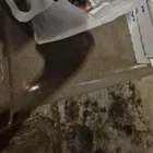 Found bag