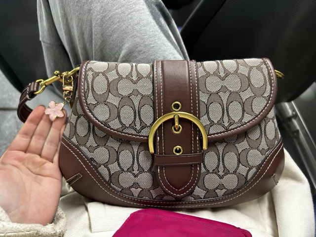 Found bag