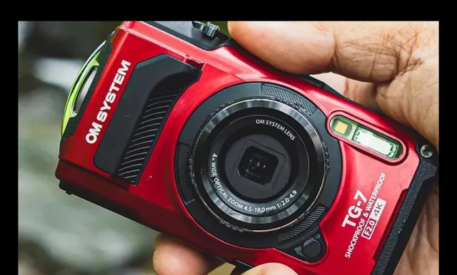 Lost Camera in Algonquin Provincial Park