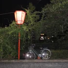 Lost Camera in Nara
