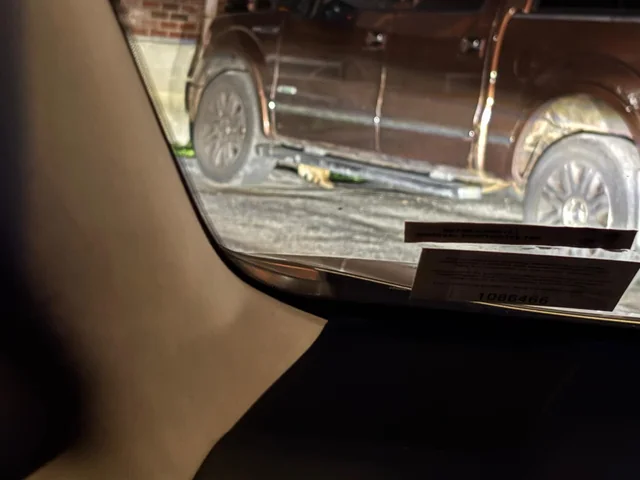 Found cat