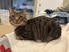 Matching item