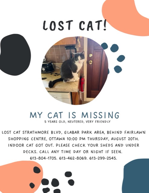 Lost Cat in Glabar Park