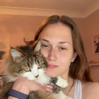Lost Cat in Parkview