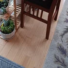 Lost cat