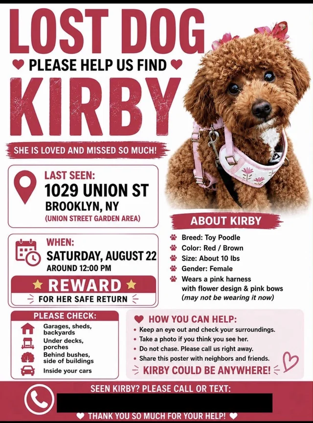 Lost dog