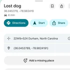 Found Dog in Durham