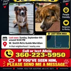 Lost Dog in Bellingham