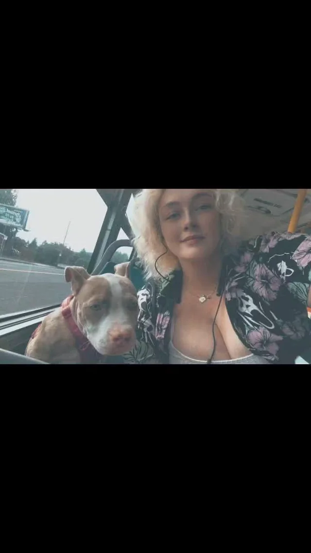 Lost dog