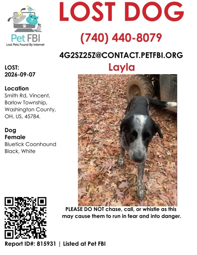 Lost Dog in Barlow Township