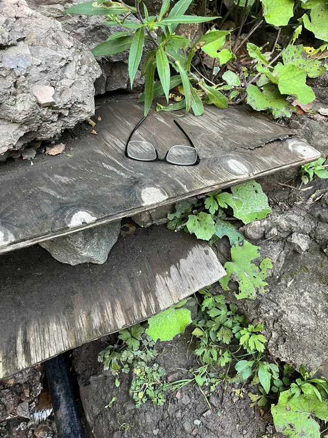 Lost Glasses in Gorge Spring
