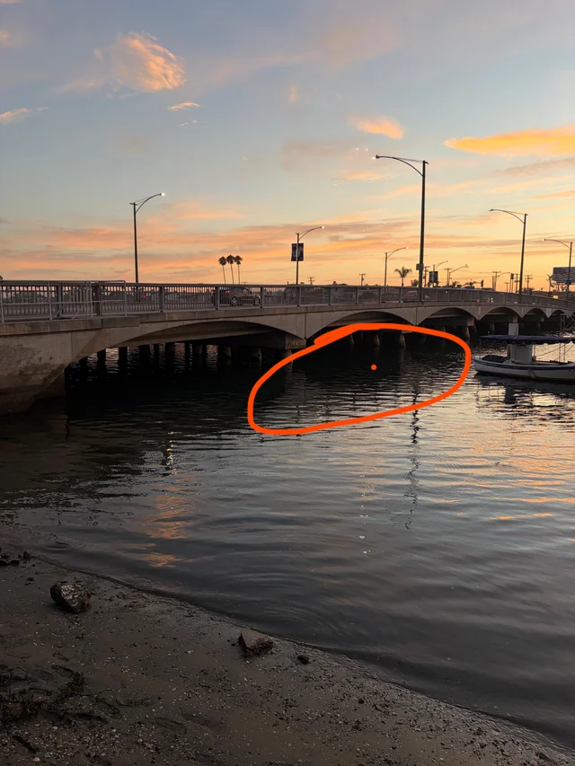 Lost Phone in Long Beach