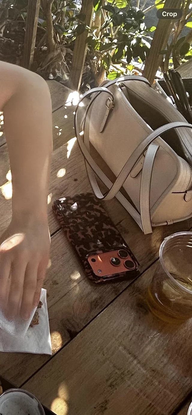 Lost Phone in Catalina Island