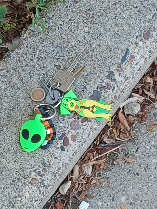 Lost keys