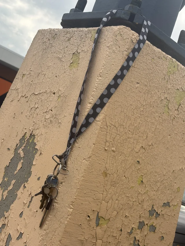 Found keys