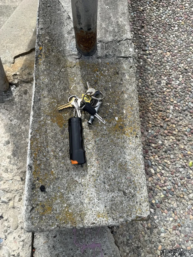 Found keys