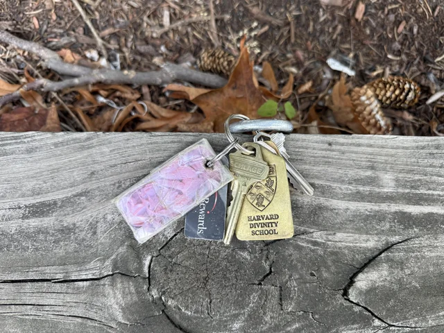 Found keys