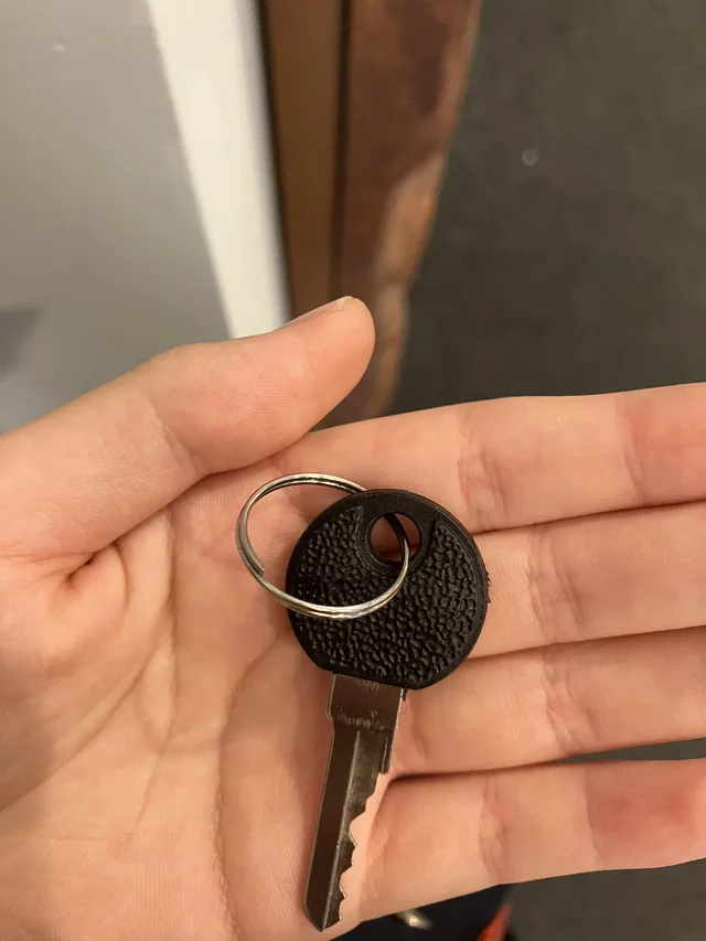 Found Keys in Auckland