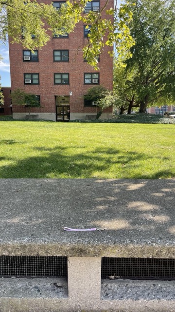Found Keys in Urbana