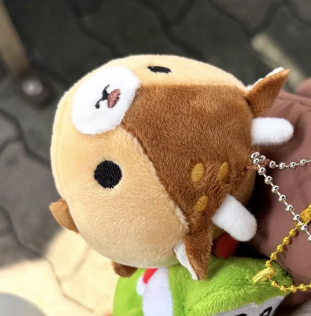 Lost keychain