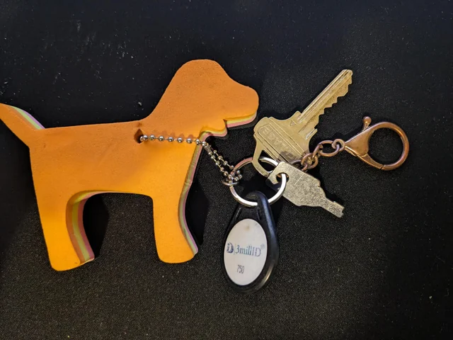 Found Keys in Peoria