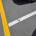 Found Keys in Richardson
