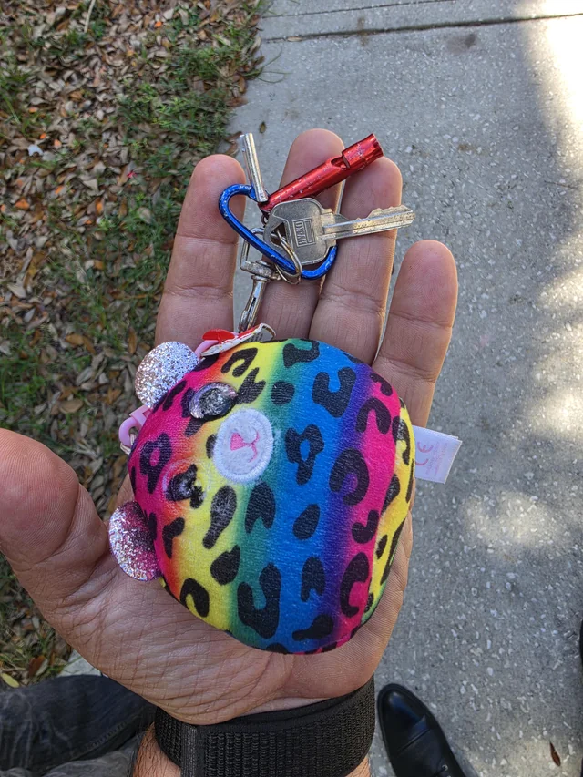 Found Keys in Orlando